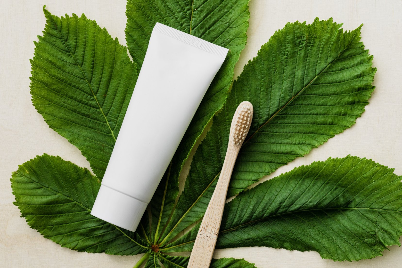 White organic toothpaste tube and bamboo toothbrush on green leaf